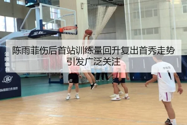 陈雨菲伤后首站训练量回升复出首秀走势引发广泛关注